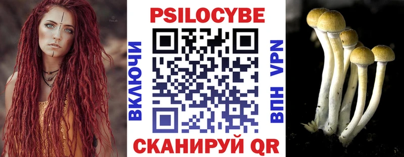 Псилоцибиновые грибы MAGIC MUSHROOMS  Горбатов 